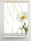 Preview: Rollo Margarete vertic rechts, Rollo, Motivrollo, Rollo mit Druck, Fotorollo, bedrucktes Rollo, Fensterrollo,verdunkelndes Rollo, Sonnenschutz Rollo